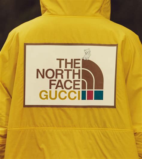 the north face gucci collezione|north face gucci for sale.